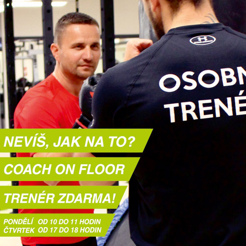 Coach on floor - trenér zdarma!